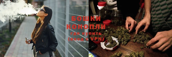 прущие грибы Козловка