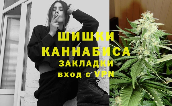 прущие грибы Козловка