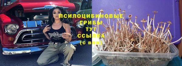 прущие грибы Козловка