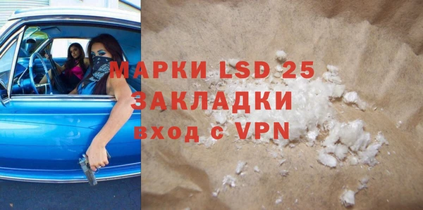 прущие грибы Козловка